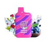 Wpuff Nano 600 Arándanos Frambuesa - Liquideo